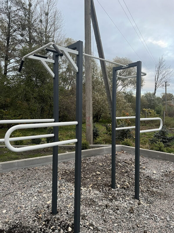 Спортивний комплекс Workout W006